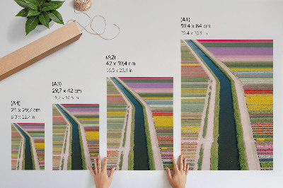 Poster Bunte Blumenstreifen entlang des Kanals