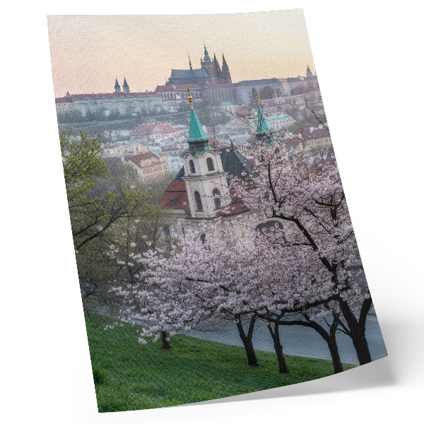Wandposter Im Frühling ist die Stadt voller blühender Bäume und Kirchtürme.