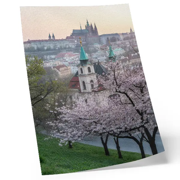 Wandposter mit Motiv von blühenden Bäumen und Kirchtürmen im Frühling