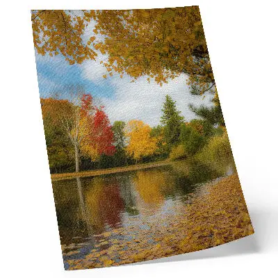 Poster Bunte Bäume am See herbstliche Stimmung