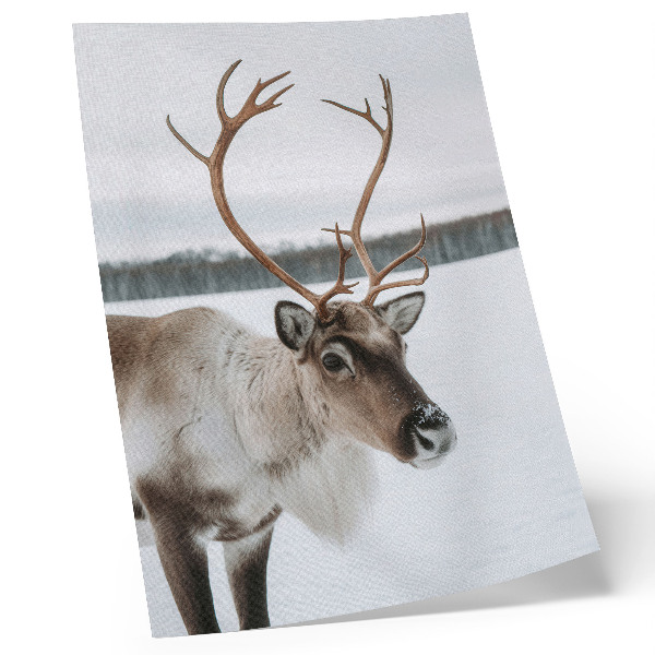 Wandposter Rentiere in einer Winterlandschaft mit beigem Fell