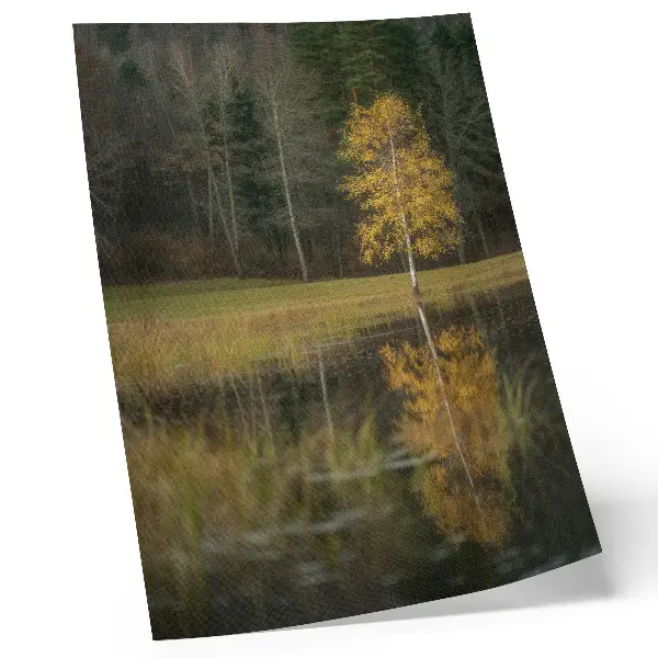 Poster ein goldener Baum vor einem dunklen Wald und einem See