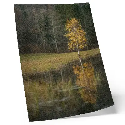 Poster ein goldener Baum vor einem dunklen Wald und einem See