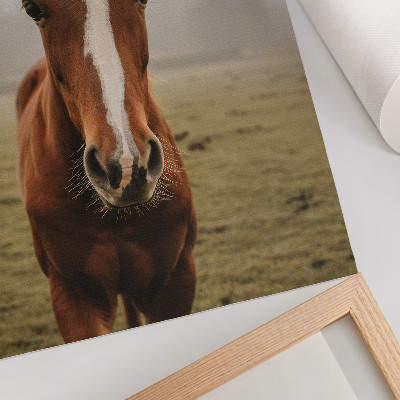 Wandposter Warme Brauntöne und weiße Pferde in der Perspektive