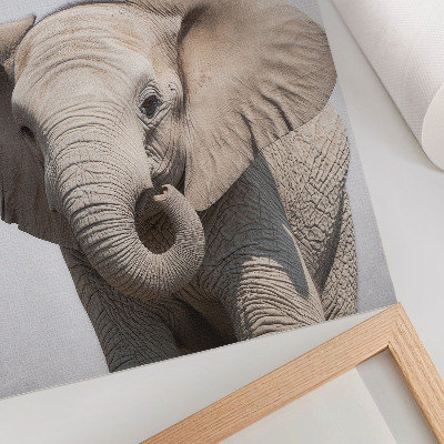 Poster Ein junger Elefant vor hellem Hintergrund