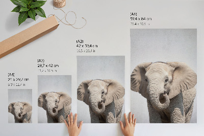 Poster Ein junger Elefant vor hellem Hintergrund