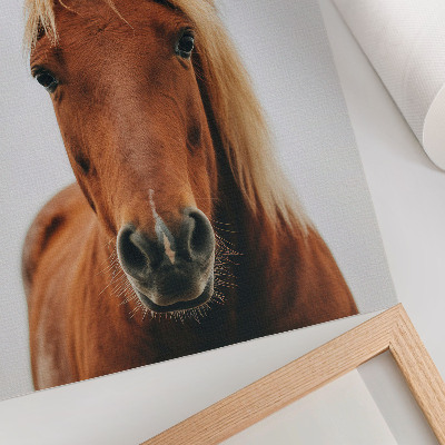 Wandposter Pferdeporträt: Minimalismus, natürliche Schönheit, Eleganz