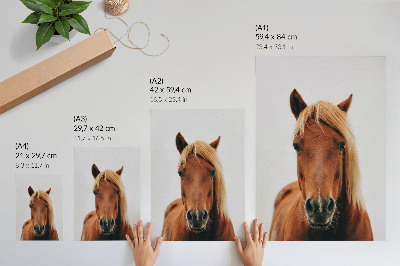 Wandposter Pferdeporträt: Minimalismus, natürliche Schönheit, Eleganz