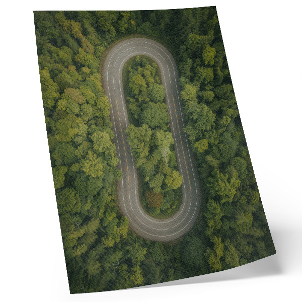 Wandposter Eine schmale, gewundene Straße durch den grünen Wald