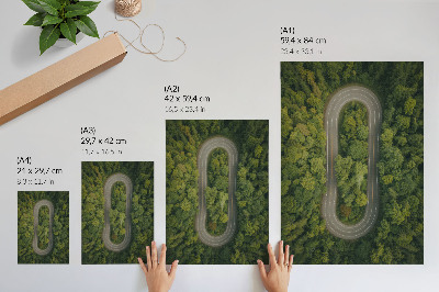 Wandposter Eine schmale, gewundene Straße durch den grünen Wald
