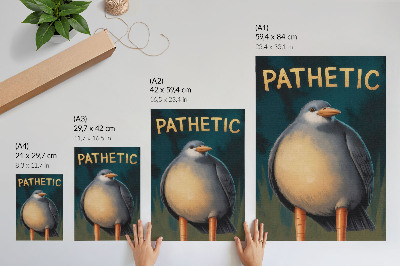 Poster Lustiger Vogel, ungewöhnliche Farben, türkisfarbener Hintergrund