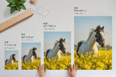 Kunstdruck leinwand Ein elegantes Pferd auf einer Frühlingswiese voller Blumen