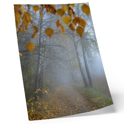 Wandposter Nebliger Herbstwald, Birken, gelbe Blätter