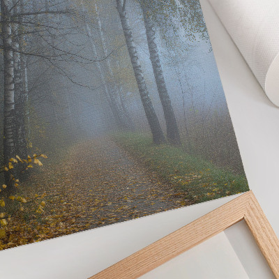 Wandposter Nebliger Herbstwald, Birken, gelbe Blätter