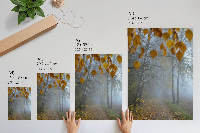 Wandposter Nebliger Herbstwald, Birken, gelbe Blätter