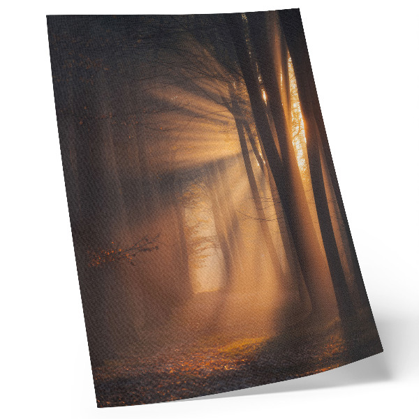 Poster Magisches Licht, Waldbäume, Sonnenstrahlen, Frieden