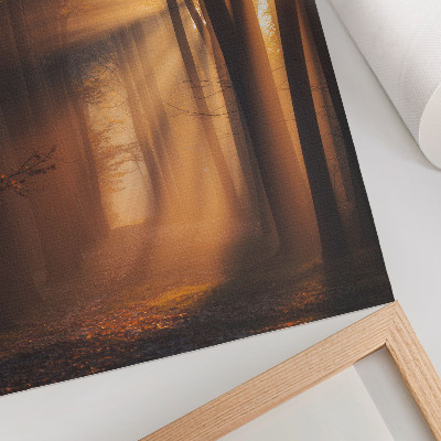 Poster Magisches Licht, Waldbäume, Sonnenstrahlen, Frieden