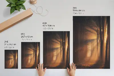 Poster magisches Licht mit Waldbäumen und Sonnenstrahlen für eine friedliche Atmosphäre