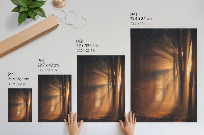 Poster Magisches Licht, Waldbäume, Sonnenstrahlen, Frieden