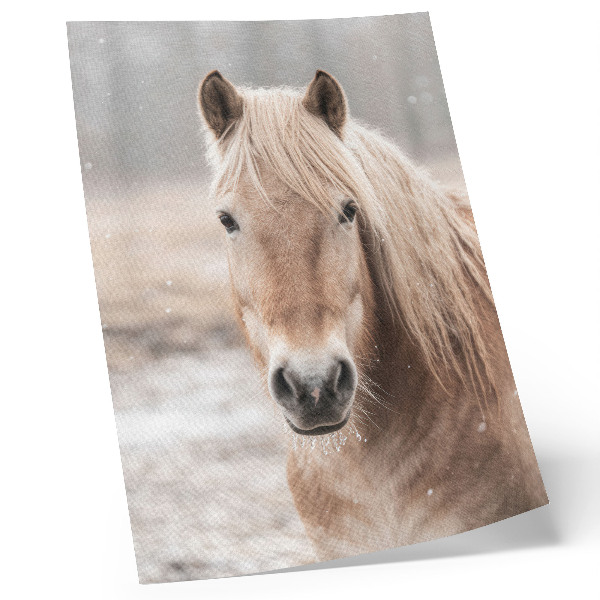 Poster Pferd Winter sanfte Farben Frieden Natur