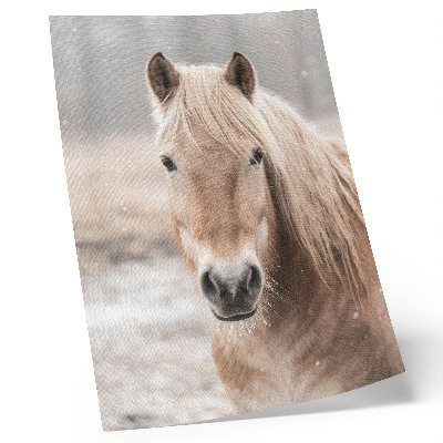 Poster Pferd Winter sanfte Farben Frieden Natur