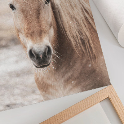 Poster Pferd Winter sanfte Farben Frieden Natur