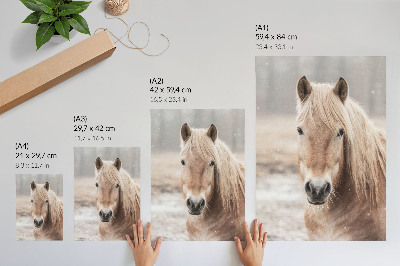Poster Pferd Winter sanfte Farben Frieden Natur