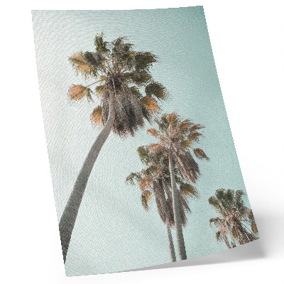Wandposter Palmen, zarter blauer Himmel, exotisch