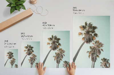 Wandposter Palmen, zarter blauer Himmel, exotisch