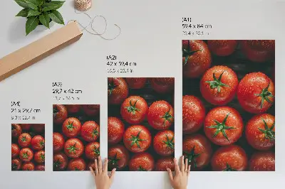 Poster Saftige Tomaten mit Wassertropfen mit Wassertropfen
