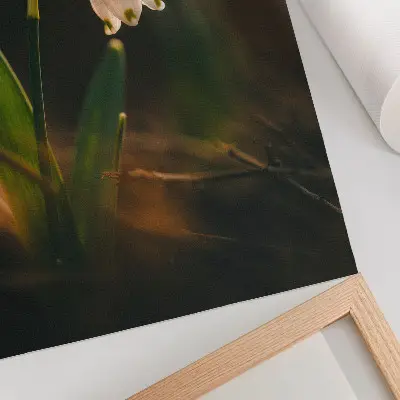 Wandposter Schneeglöckchen mit grünen Blättern im warmen Licht