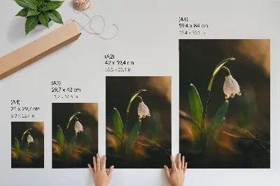 Wandposter Schneeglöckchen mit grünen Blättern im warmen Licht