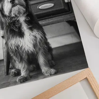 Poster ein ruhiger schwarz-weißer Hund neben einem alten Ofen