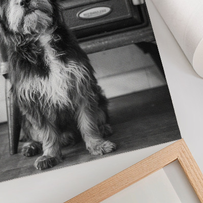 Poster Ein ruhiger schwarz-weißer Hund steht neben einem alten Ofen.