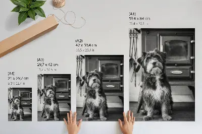 Poster ein ruhiger schwarz-weißer Hund neben einem alten Ofen