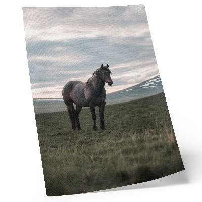 Kunstdruck leinwand Pferd auf der Wiese, Wolken, Morgen, Harmonie der Natur