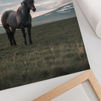 Kunstdruck leinwand Pferd auf der Wiese, Wolken, Morgen, Harmonie der Natur