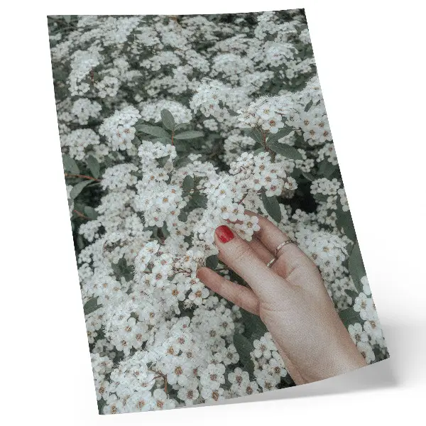 Kunstdruck auf Leinwand mit dem Motiv Weiße Blumen, grüne Hände, rote Nägel