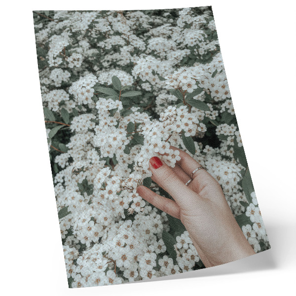 Kunstdruck leinwand Weiße Blumen, grüne Hände, rote Nägel
