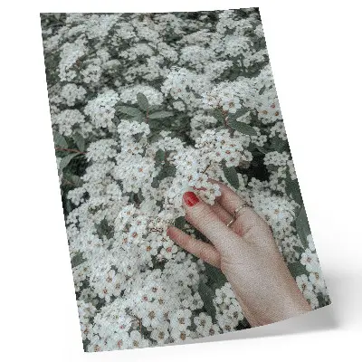 Kunstdruck auf Leinwand mit dem Motiv Weiße Blumen, grüne Hände, rote Nägel