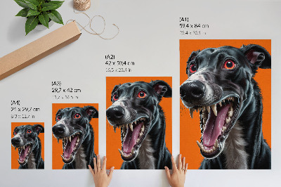 Poster Schwarzes Fell, orangefarbener Hintergrund, ausdrucksstarke Details