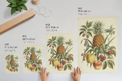 Poster mit Früchten und Blättern im klassischen Stil für eine harmonische Naturdarstellung