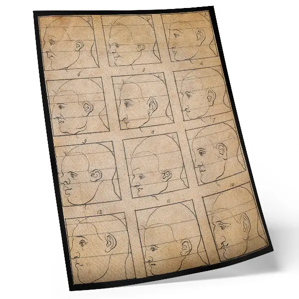 Wandposter Zwölf menschliche Profile in Umrissen nach einer Zeichnung von Albrecht Dürer, um 1794