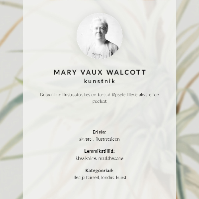 Poster Wilde Ananas (Tillandsia fasciculata) (1921) von Mary Vaux Walcott