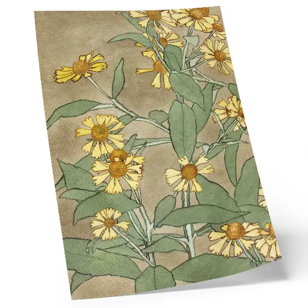 Poster Gänseblümchen mit orangefarbener Mitte und gelben Blütenblättern von Hannah Borger Overbeck aus dem Jahr 1915