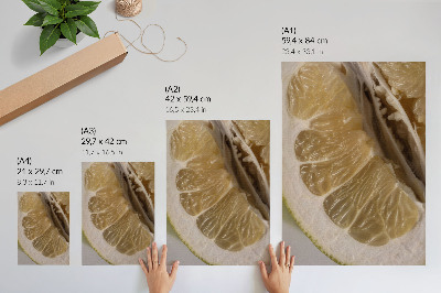 Poster Eine Zitronenscheibe mit saftigen Segmenten