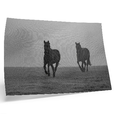 Poster Galoppierende Pferde, sanfter Nebel, friedliche Weite