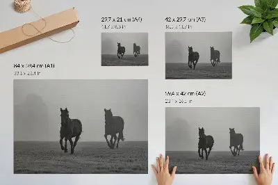 Poster galoppierende Pferde in sanftem Nebel vor friedlicher Weite