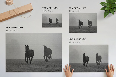 Poster Galoppierende Pferde, sanfter Nebel, friedliche Weite