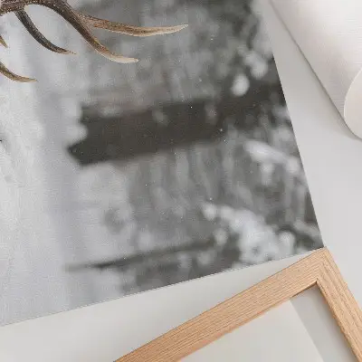 Kunstdruck Poster geweihe im winterwald für eine natürliche ruhe